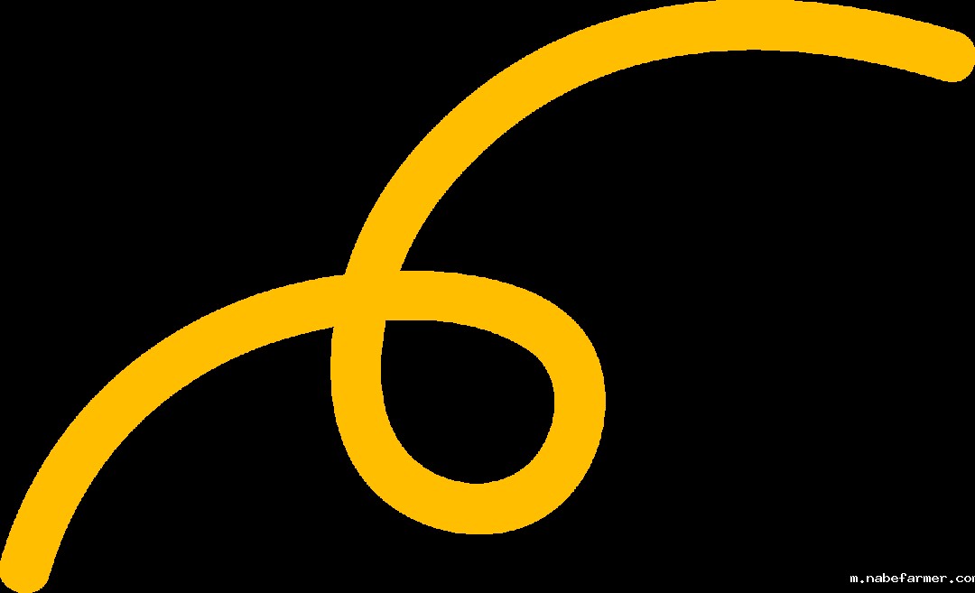 暑期海外实践 | 我们在斯里兰做义工，学会爱与尊重！