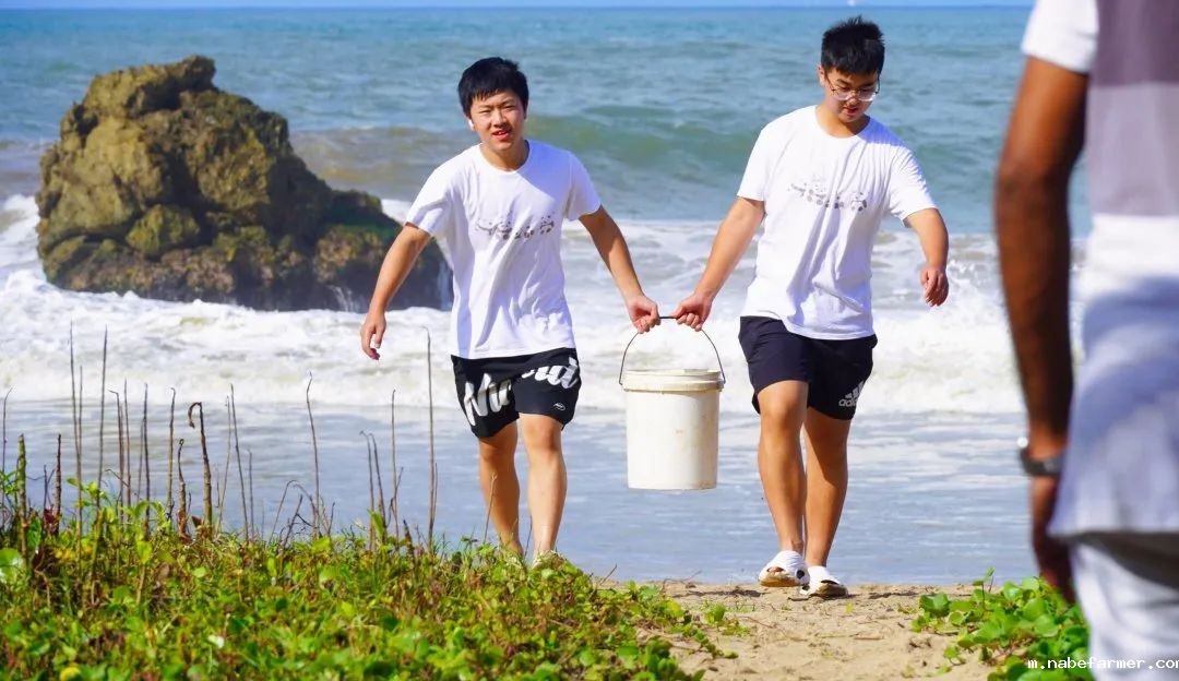 暑期海外实践 | 我们在斯里兰做义工，学会爱与尊重！