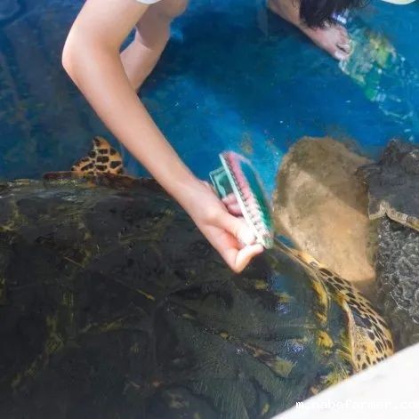 暑期海外实践 | 我们在斯里兰做义工，学会爱与尊重！