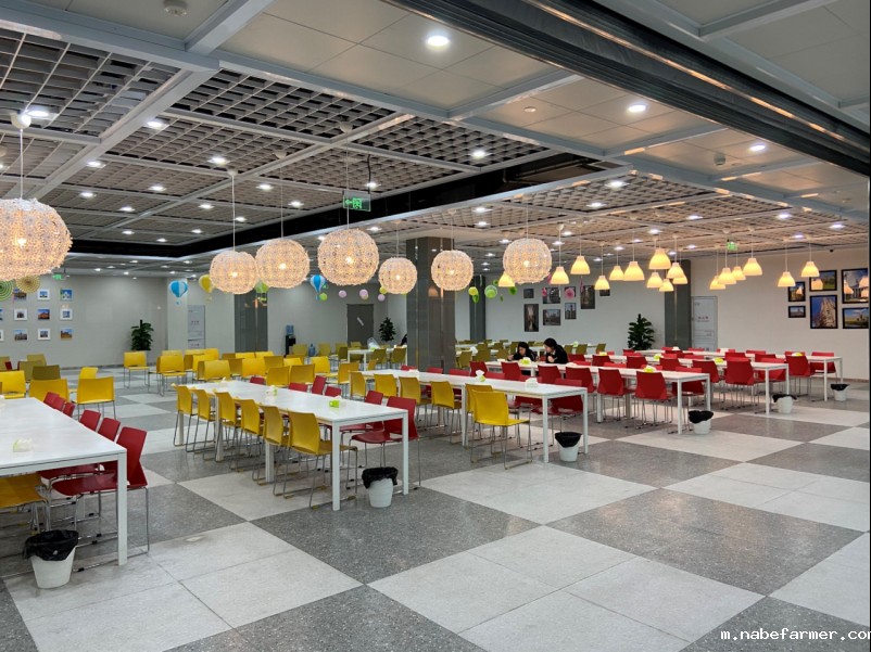 2024沃顿公学入学指南