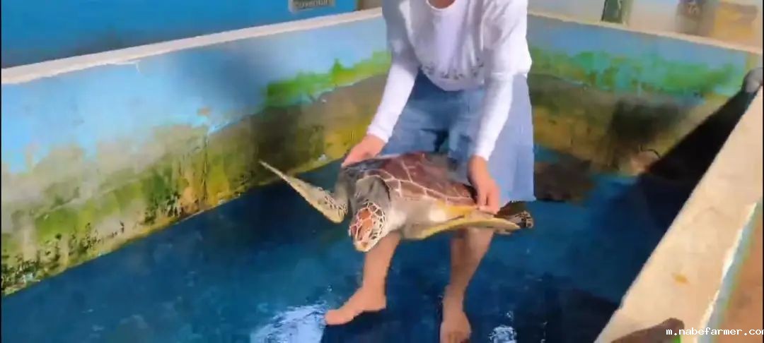 暑期海外实践 | 我们在斯里兰做义工，学会爱与尊重！