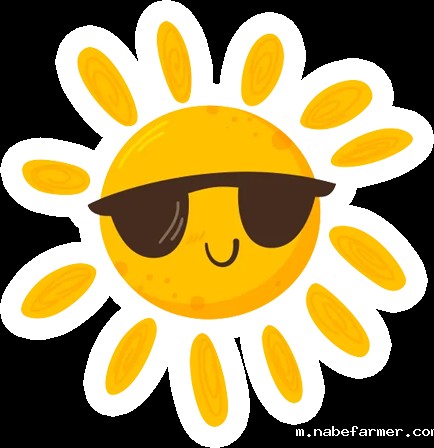 暑期海外实践 | 我们在斯里兰做义工，学会爱与尊重！