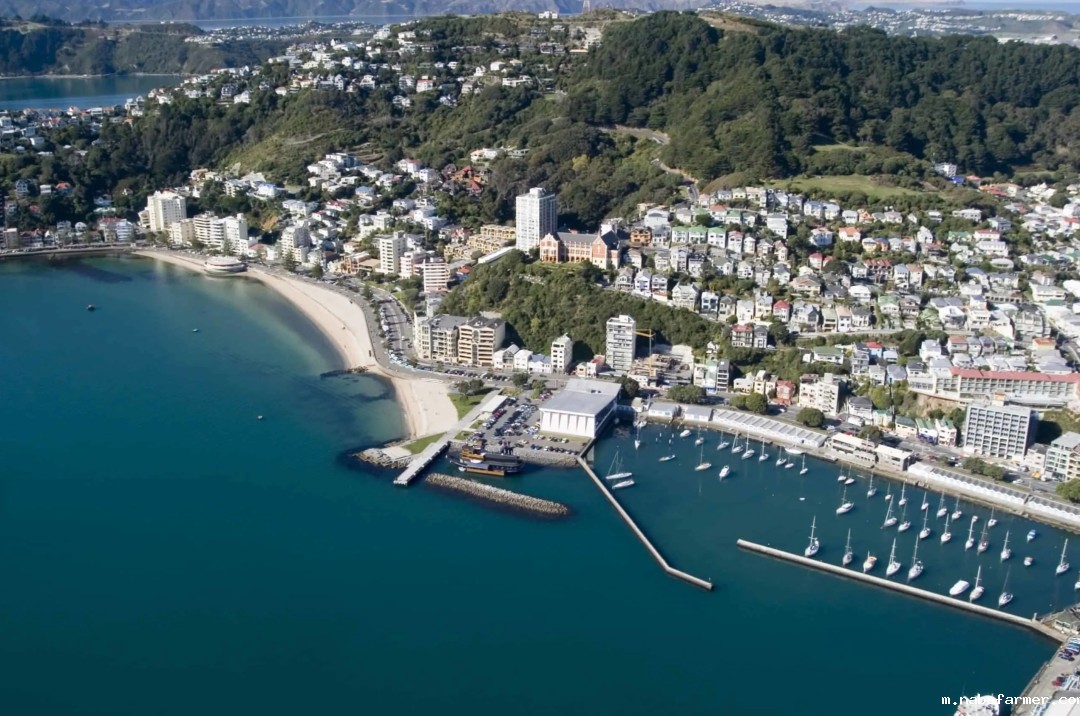 新西兰国际学生人数暴涨67%，中国是最大生源国！