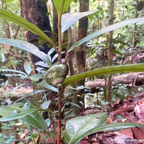 暑期海外实践 | 我们在斯里兰做义工，学会爱与尊重！