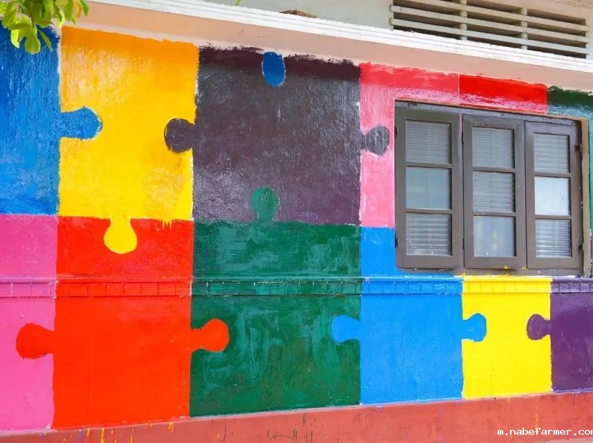 暑期海外实践 | 我们在斯里兰做义工，学会爱与尊重！