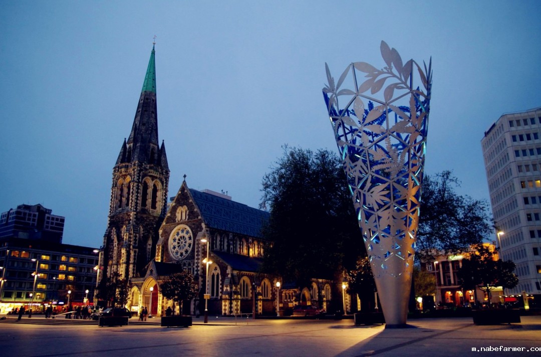 新西兰国际学生人数暴涨67%，中国是最大生源国！