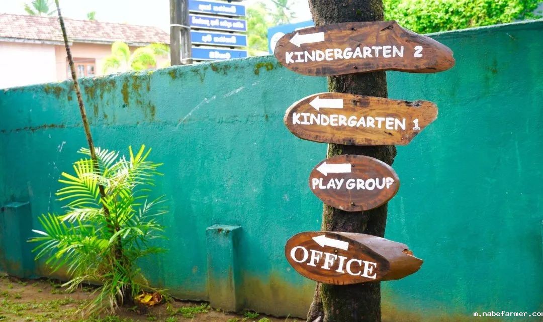 暑期海外实践 | 我们在斯里兰做义工，学会爱与尊重！