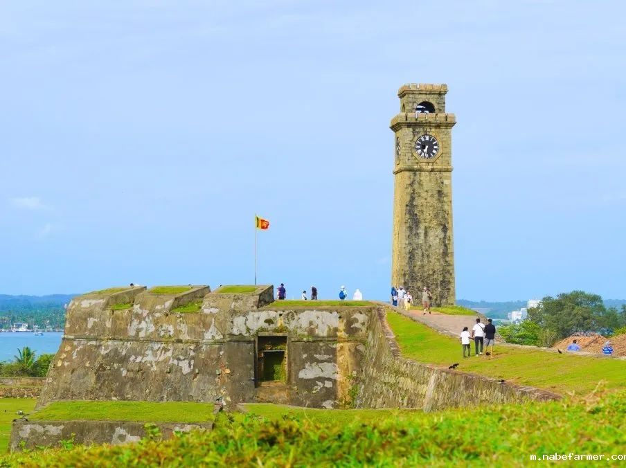 暑期海外实践 | 我们在斯里兰做义工，学会爱与尊重！