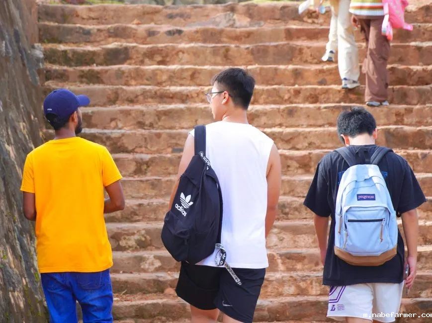 暑期海外实践 | 我们在斯里兰做义工，学会爱与尊重！