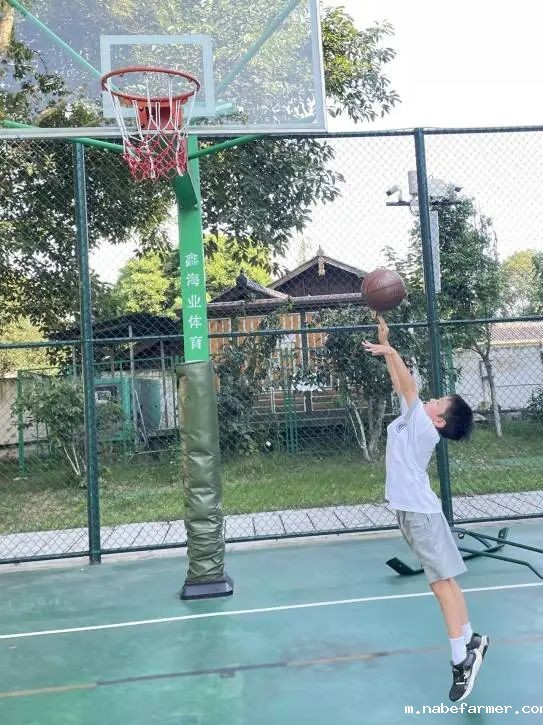 How do MISers learn and live丨9月第三周，MIS的学生如何学习和生活？