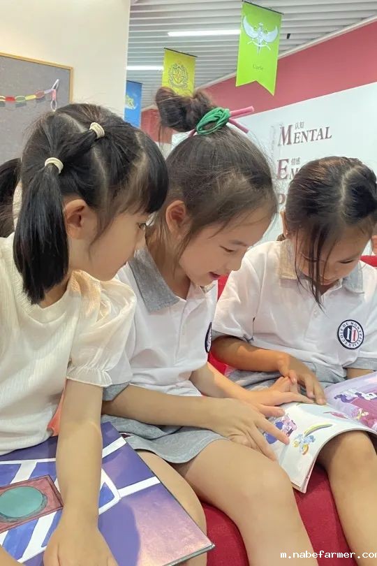 How do MISers learn and live丨9月第三周，MIS的学生如何学习和生活？