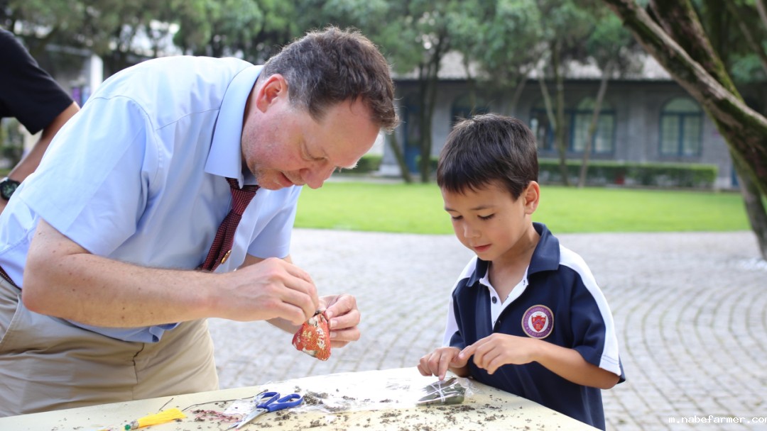 【开放日】探索康礼小学魅力，揭秘跨学科教育的奥秘