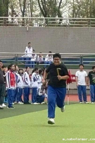 第十三届科技体育节完美收官 | 全力以赴，国际部上演高燃时刻！