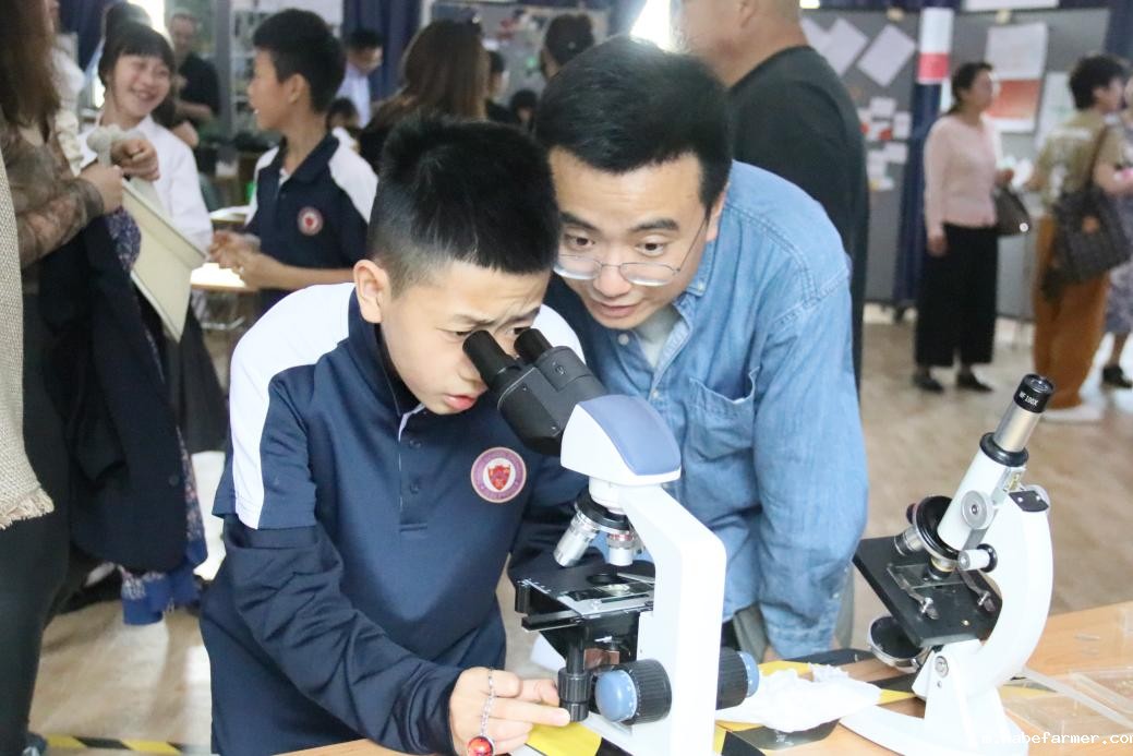 【开放日】探索康礼小学魅力，揭秘跨学科教育的奥秘