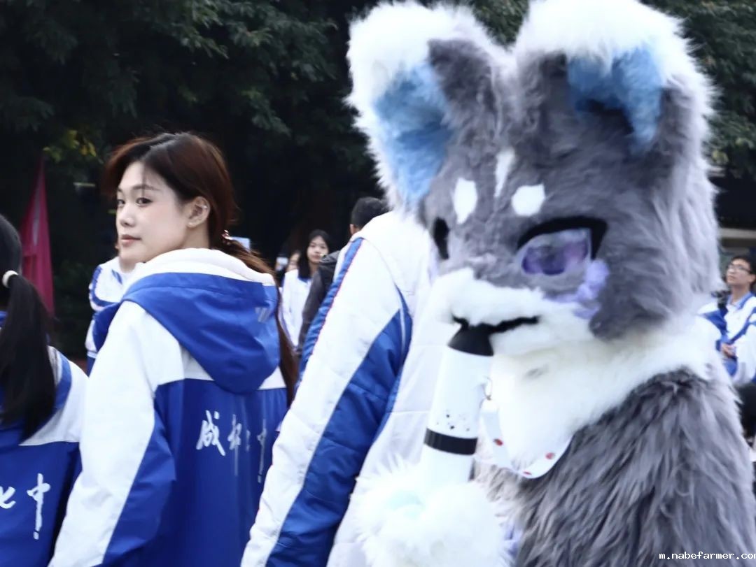第十三届科技体育节完美收官 | 全力以赴，国际部上演高燃时刻！