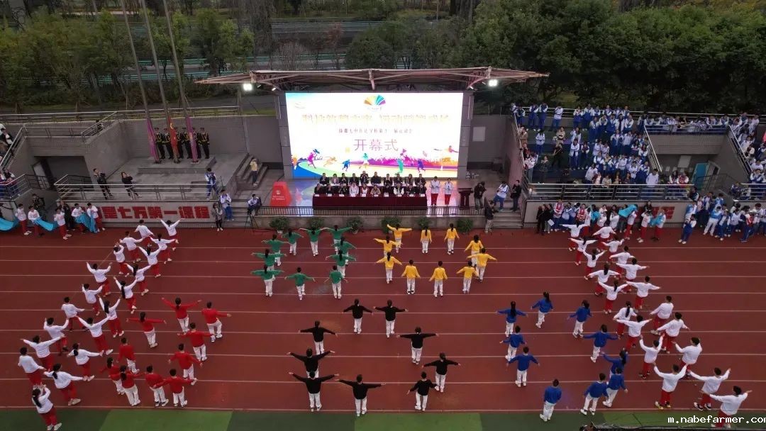 第十三届科技体育节完美收官 | 全力以赴，国际部上演高燃时刻！