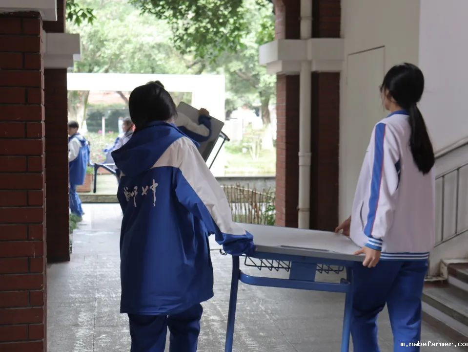 中外人文交流 | 第十一届国际友城文化节，一起倾听全球韵律！