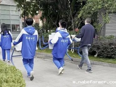 中外人文交流 | 第十一届国际友城文化节，一起倾听全球韵律！