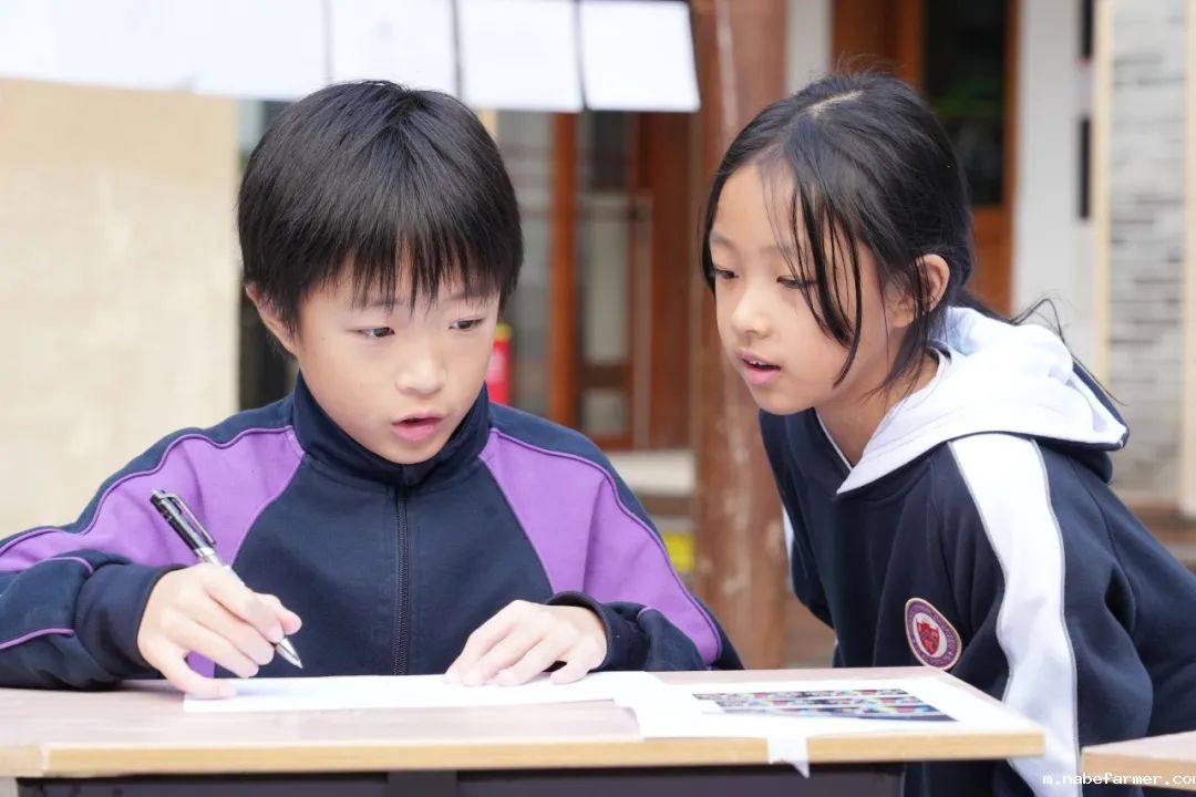 探索无限可能，在自然周里发现结构之美！