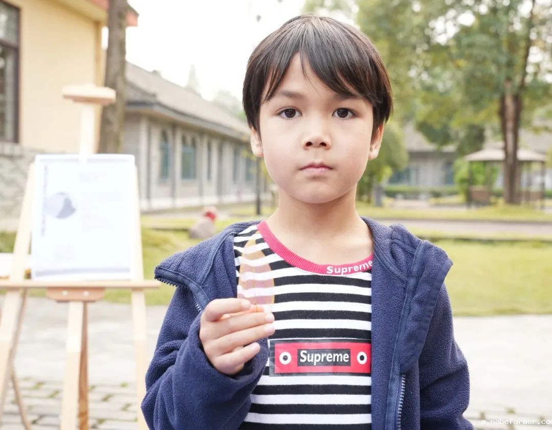 探索无限可能，在自然周里发现结构之美！