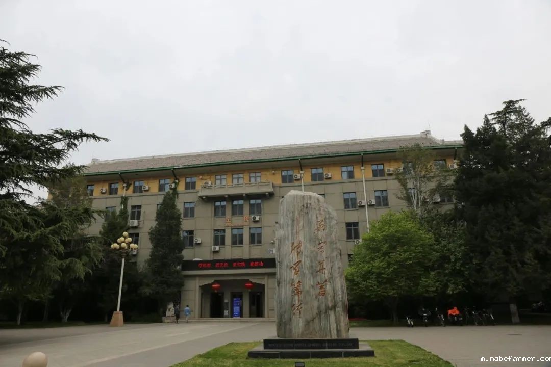 北京外国语大学国际商学院(IBS)《“一带一路”未来人才培养计划-国际名校预科中心》