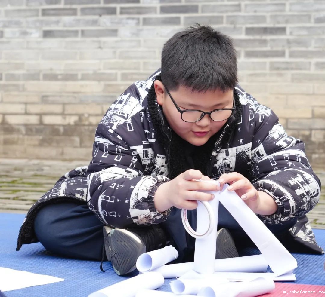 探索无限可能，在自然周里发现结构之美！