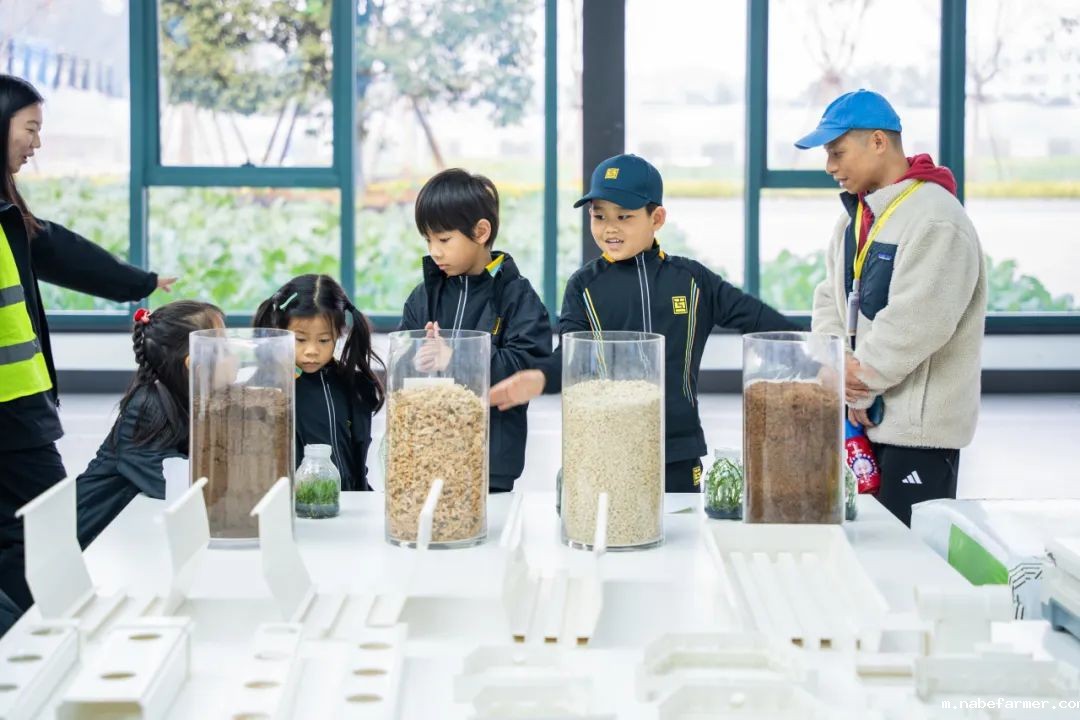 “研”途皆风景，“学”中悟真知：杭州惠立小学部冬季研学之旅