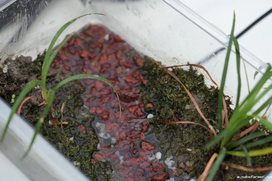 探索无限可能，在自然周里发现结构之美！