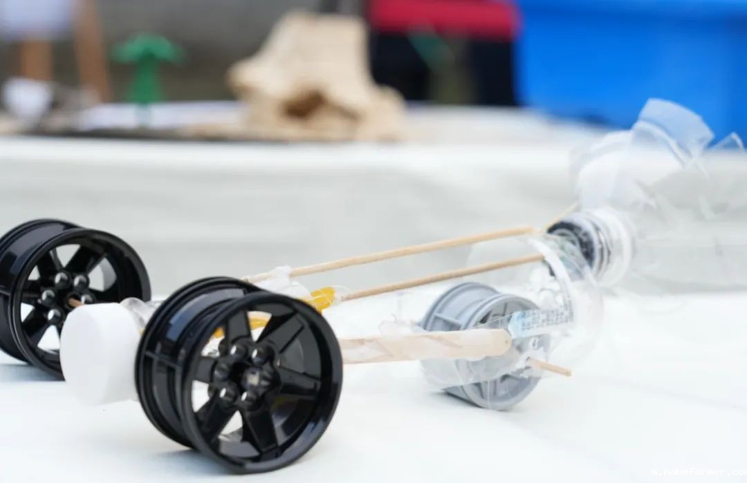 探索无限可能，在自然周里发现结构之美！