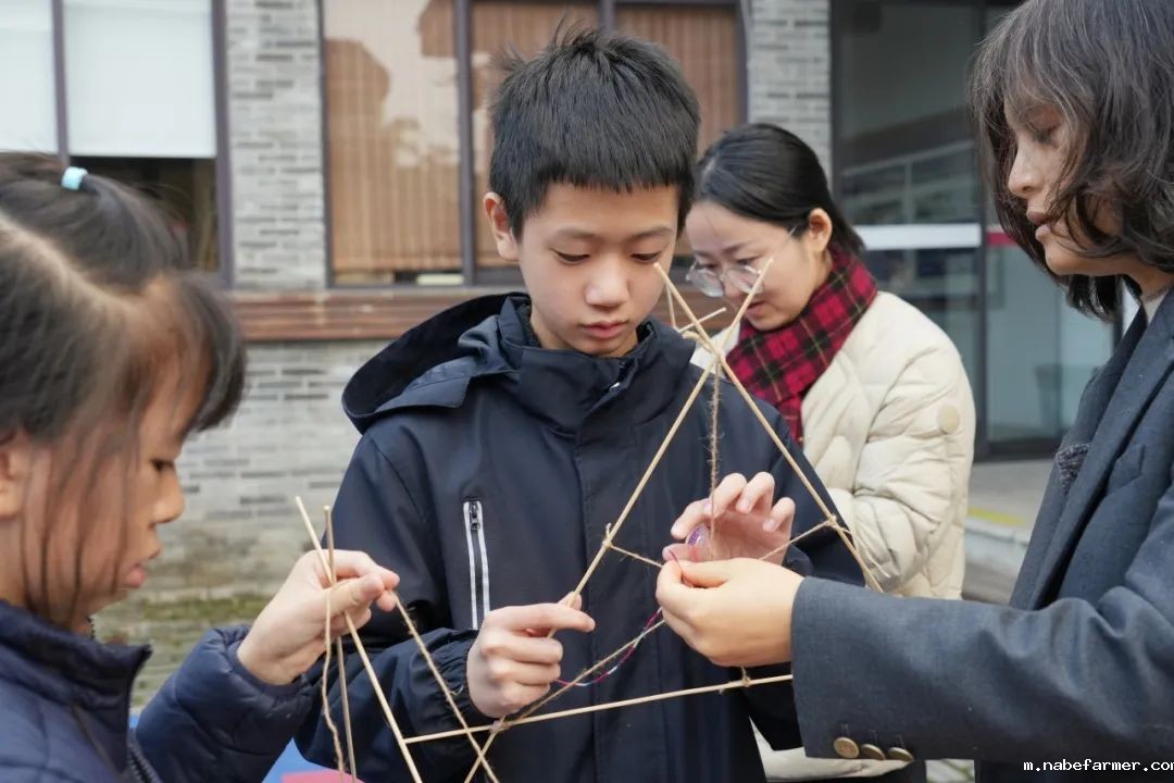 探索无限可能，在自然周里发现结构之美！