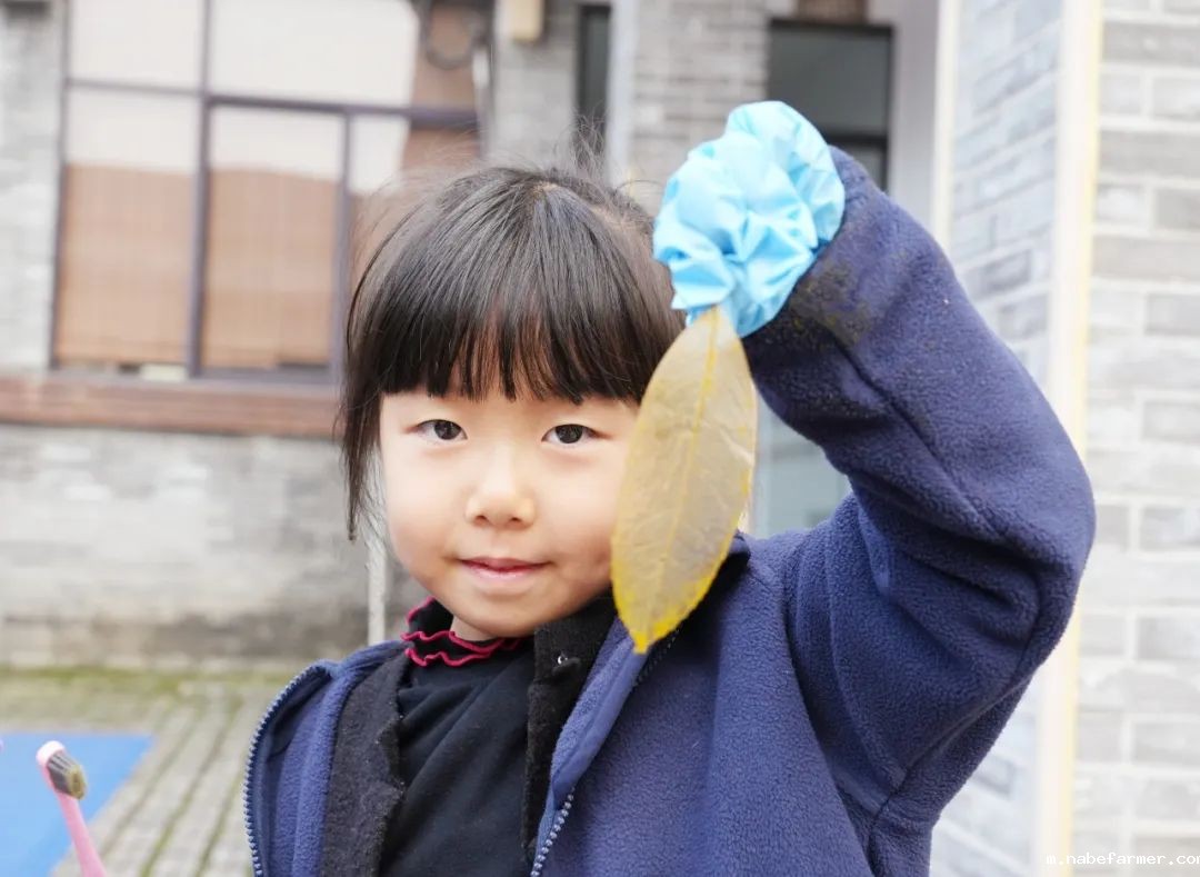 探索无限可能，在自然周里发现结构之美！