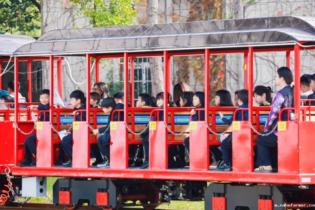 “研”途皆风景，“学”中悟真知：杭州惠立小学部冬季研学之旅