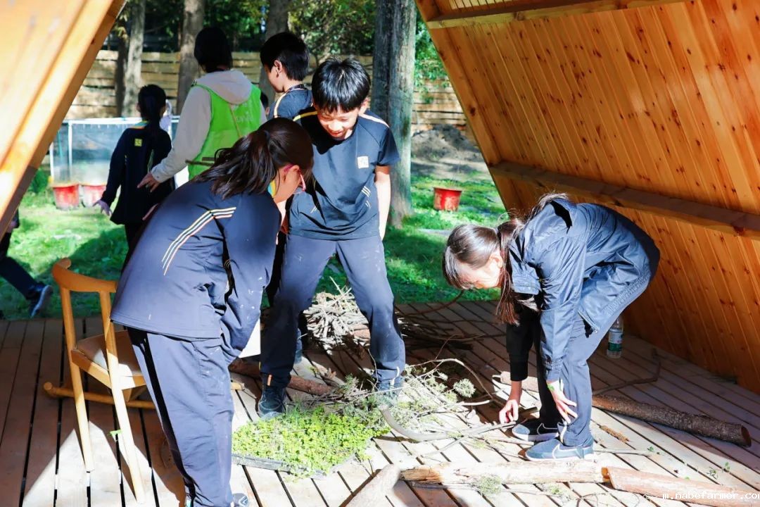 “研”途皆风景，“学”中悟真知：杭州惠立小学部冬季研学之旅