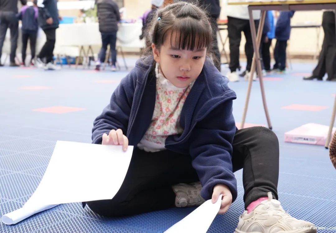 探索无限可能，在自然周里发现结构之美！