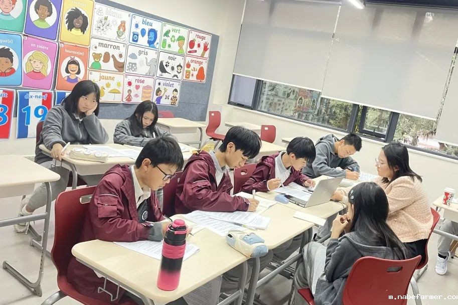 National Runner-up and Third Place丨全国亚、季军！2024“纵横杯”国际学校中文辩论赛成绩斐然