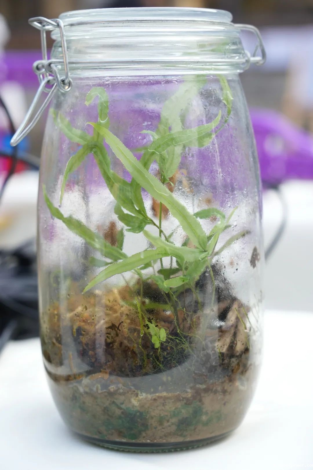 探索无限可能，在自然周里发现结构之美！