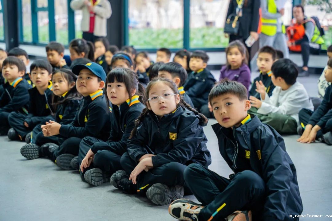 “研”途皆风景，“学”中悟真知：杭州惠立小学部冬季研学之旅
