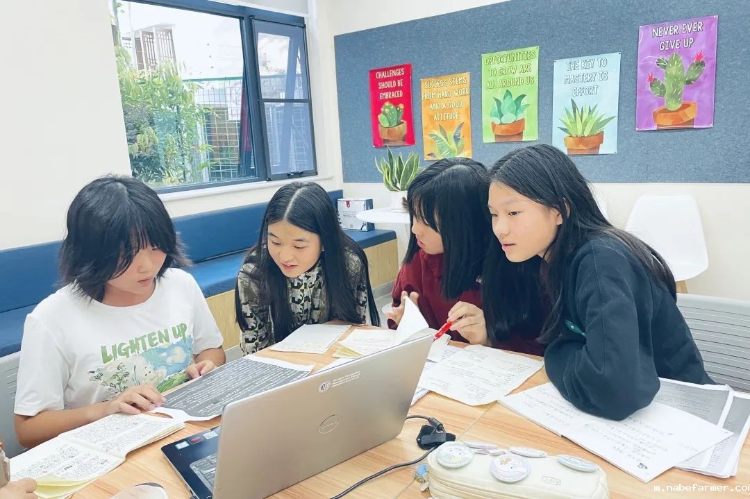 National Runner-up and Third Place丨全国亚、季军！2024“纵横杯”国际学校中文辩论赛成绩斐然