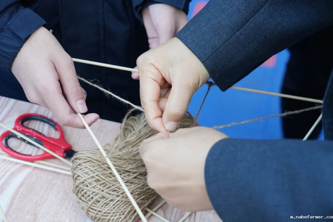 探索无限可能，在自然周里发现结构之美！