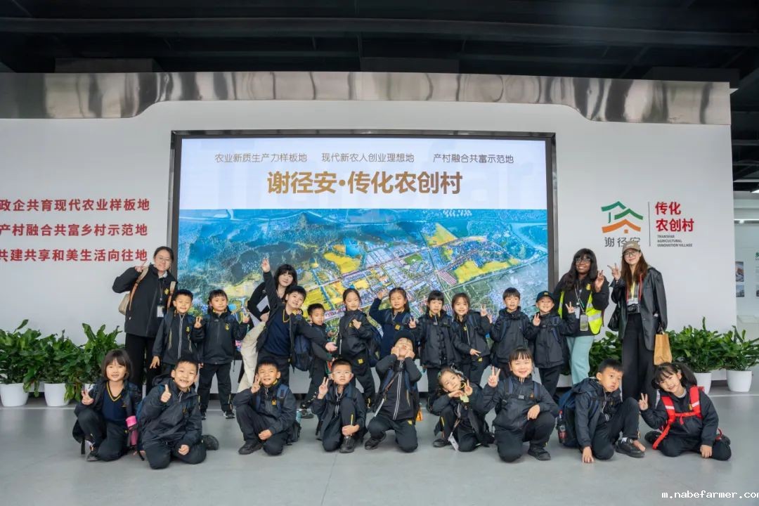“研”途皆风景，“学”中悟真知：杭州惠立小学部冬季研学之旅
