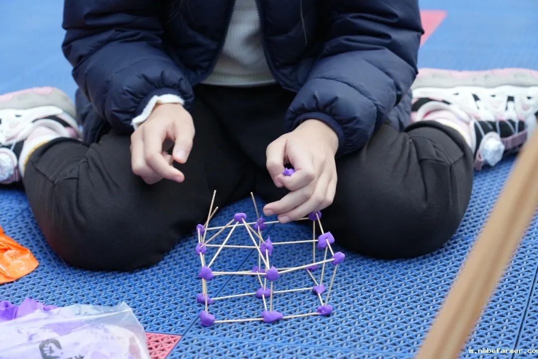 探索无限可能，在自然周里发现结构之美！