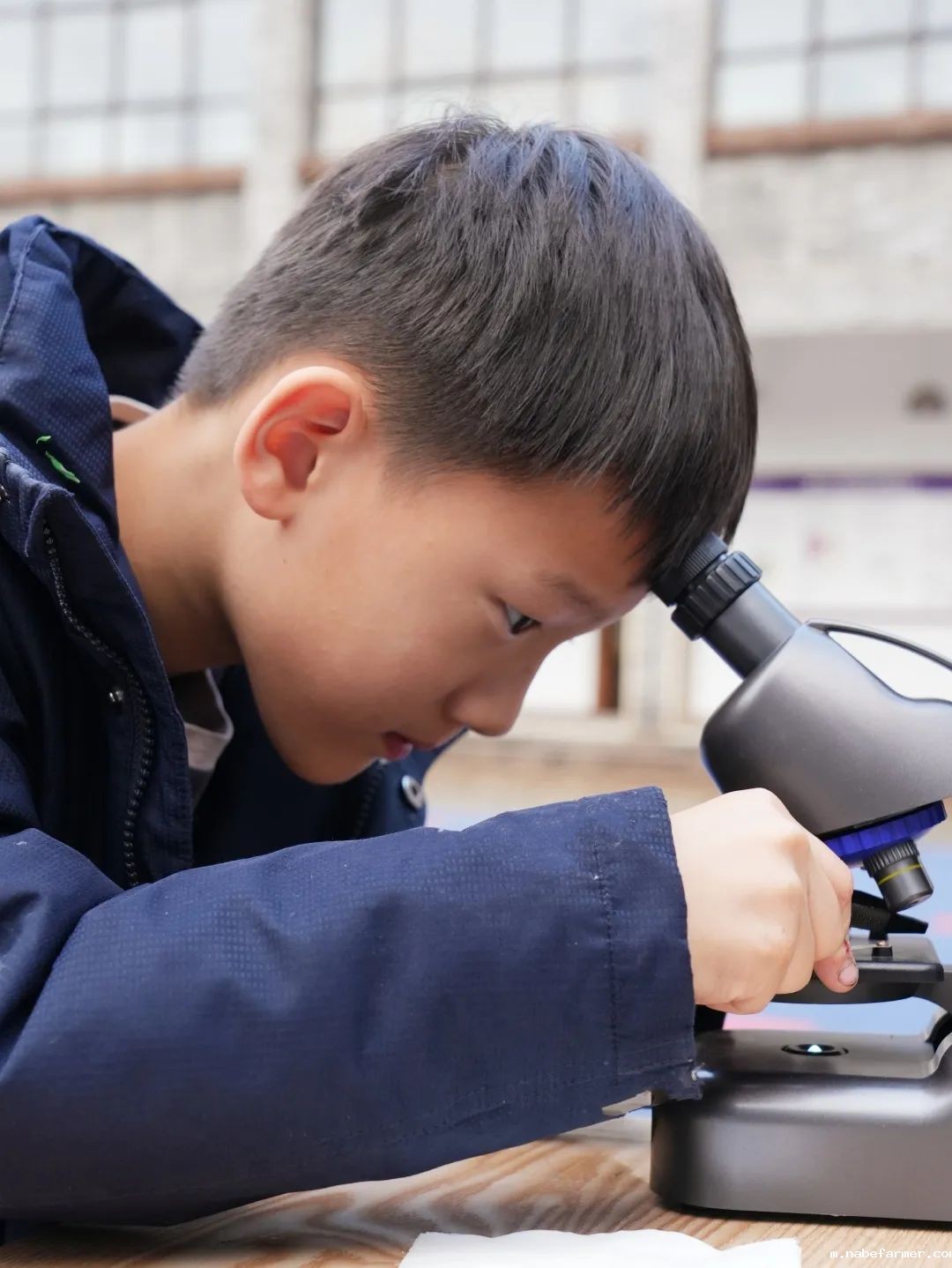 探索无限可能，在自然周里发现结构之美！