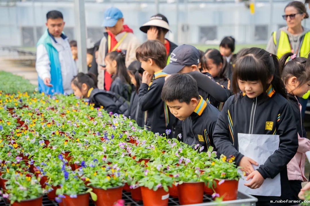 “研”途皆风景，“学”中悟真知：杭州惠立小学部冬季研学之旅