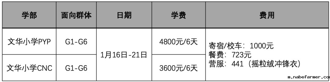 【2025冬令营】武汉爱莎文华小学冬令营开营啦！