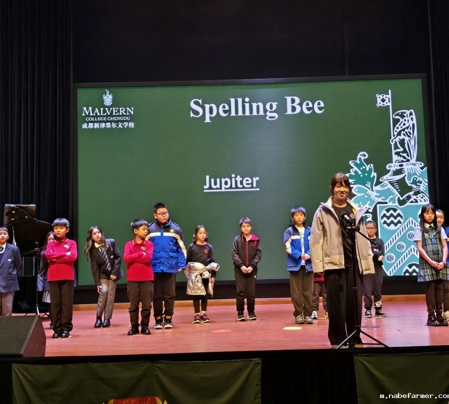 CISA超燃回顾，我们捧回了这些奖杯！