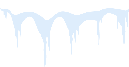 2025冬令营｜上海职业探索冬令营精彩回顾