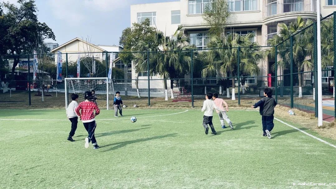 How do MISers learn and live丨3月第三周，MIS的学生如何学习和生活？