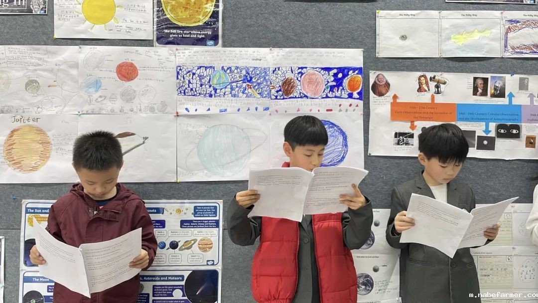 How do MISers learn and live丨3月第三周，MIS的学生如何学习和生活？