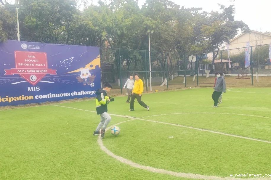 How do MISers learn and live丨3月第三周，MIS的学生如何学习和生活？