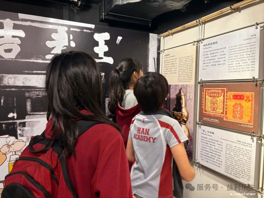 漢鼎課｜探索深水埗·樂學成長——漢鼎書院Y7-Y10學生城市定向探索活動紀實